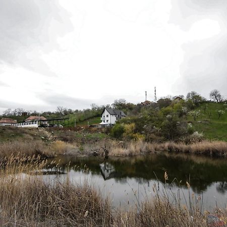 Pensiunea Giulia Turda Bagian luar foto
